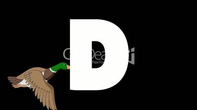Letter D and Duck on background