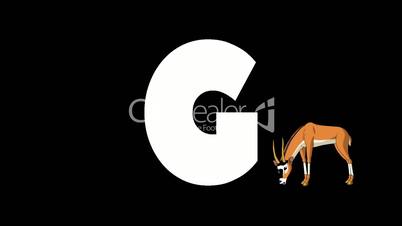 Letter G and Gazelle on background