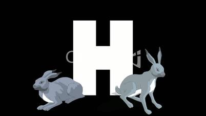 Letter H and Hare on foreground