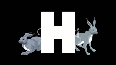 Letter H and Hare on background