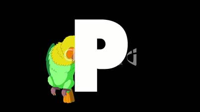 Letter P and Parrot on background