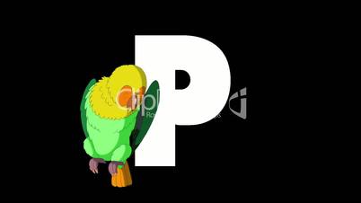 Letter P and Parrot on foreground