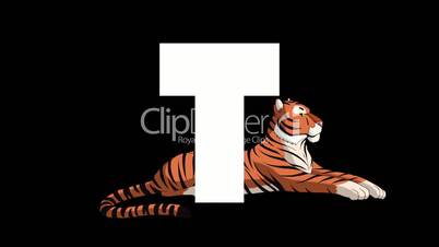 Letter T and Tiger background