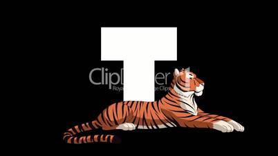 Letter T and Tiger on foreground