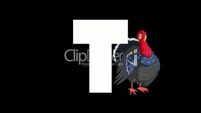 Letter T and  Turkey on background