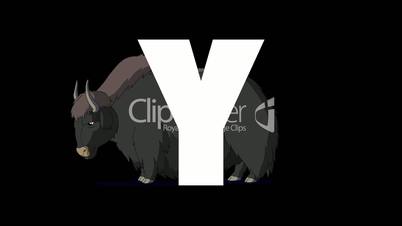 Letter Y  and  Yak  on background