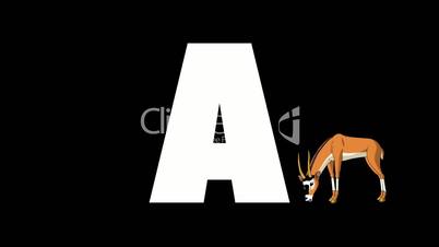Letter A and Antelope on background