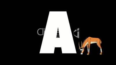 Letter A and Antelope on foreground