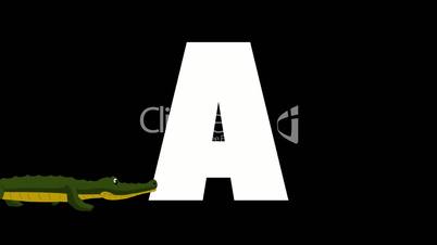 Letter A and Alligator on foreground
