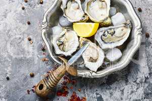 Opened oysters on metal plate