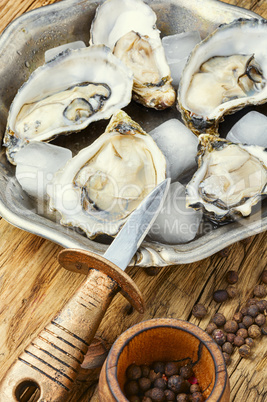 Opened fresh oysters,seafood