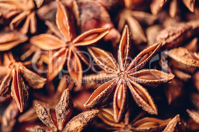 Backdrop of Star Anise Fruits and Seeds.