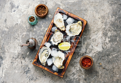 Opened oysters on cutting board