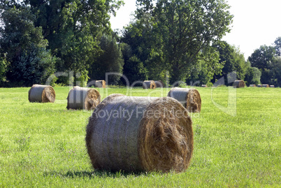 Strohballen