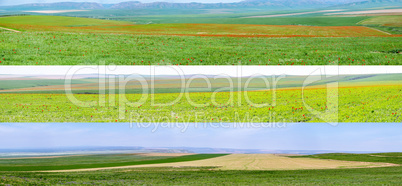 panorama of the spring steppe