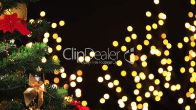 Girl hanging decorative ball on Christmas tree branch