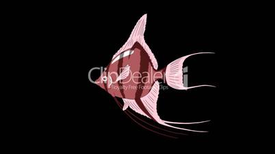 Small Pink Scalare Angelfish Alpha Matte