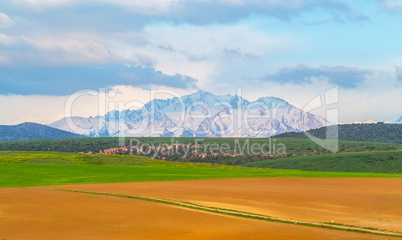 mountain panorama in spring