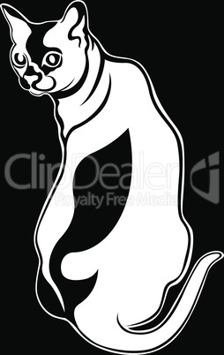 Black stencil of cute cat