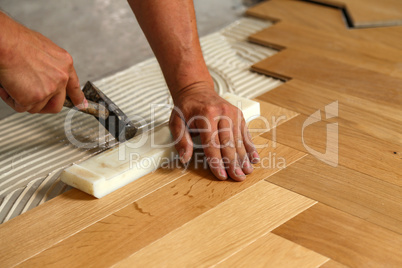 Worker laying parquet flooring. Worker installing wooden laminate flooring