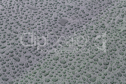 Large drops of water on plastic film after rain