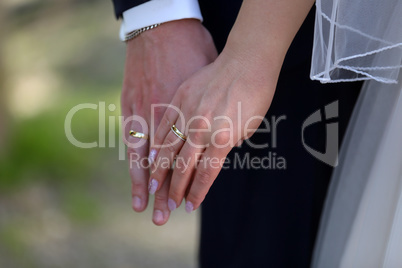 Hands of the bride and groom with rings at the wedding