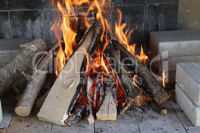 Fire, flame and hot firewood for grilling