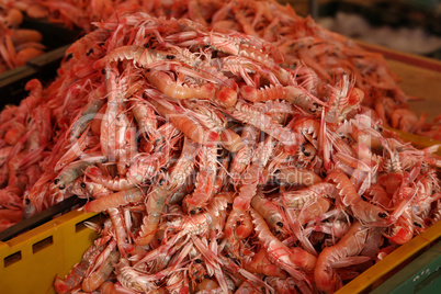 Prawns for sale at a fish market in Croatia