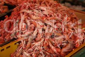 Prawns for sale at a fish market in Croatia