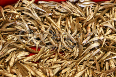 Different sea fish at a fish market in Croatia