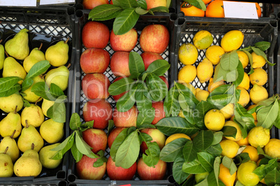 Various fruits for sale in a market in Croatia