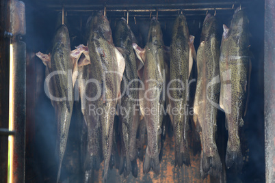 Smoking of fish / The process of smoking fish