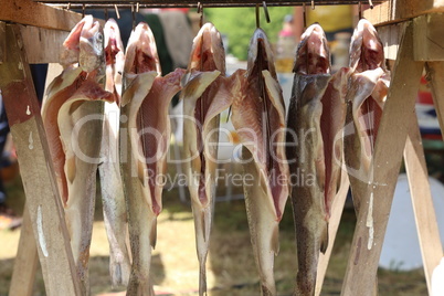 Smoking of fish / The process of smoking fish