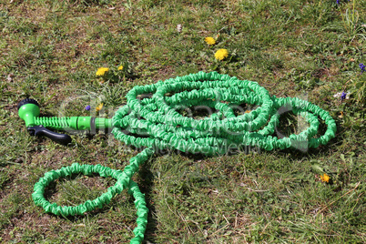 A green hose is located on the lawn