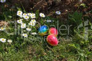 Easter traditions. Compositions with painted Easter eggs