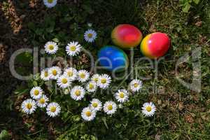 Easter traditions. Compositions with painted Easter eggs