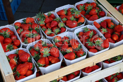 Fresh strawberries are on sale at the Bazaar