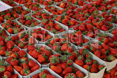 Fresh strawberries are on sale at the Bazaar