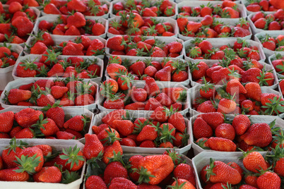 Fresh strawberries are on sale at the Bazaar