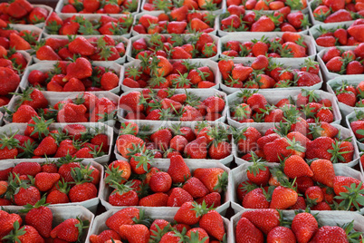 Fresh strawberries are on sale at the Bazaar