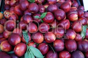 Various fruits for sale in a market in Croatia