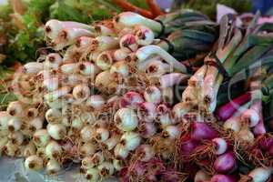 Various vegetables are sold at a bazaar in Croatia