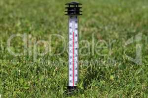 Hot summer. The thermometer in the grass.