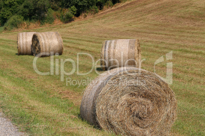 Hay rolls in the fields in Germany