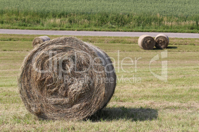 Hay rolls in the fields in Germany
