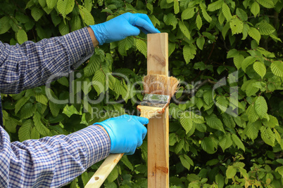 The worker paints wooden slats with protective varnish