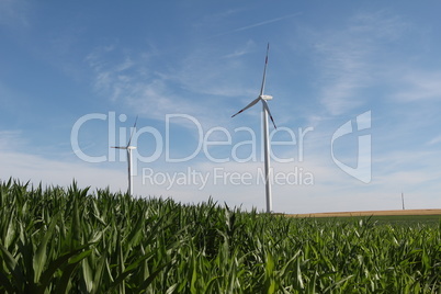 Alternative Energy / Wind turbines in a field