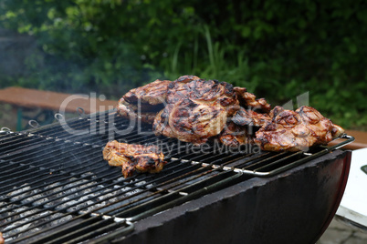 Grilled meat on the grill, close up