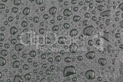 Large drops of water on plastic film after rain