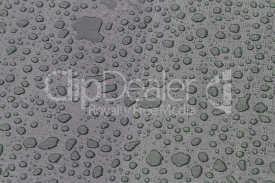 Large drops of water on plastic film after rain